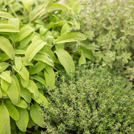 Lakefront Contemporary - By My In